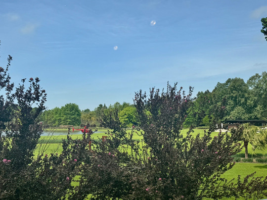 Isla El Descanso-布宜诺斯艾利斯必去景点