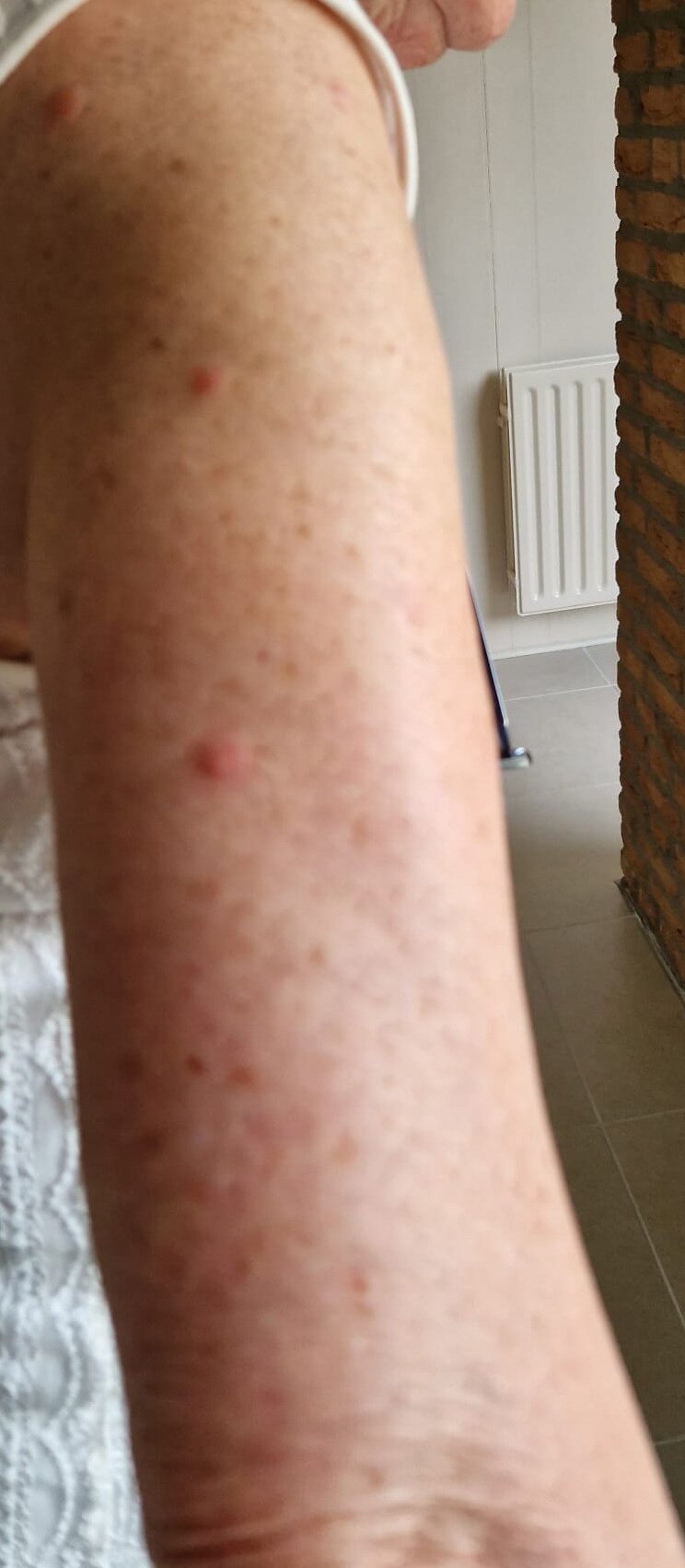 Gast- und Weinhof Beim Schneemann-官方