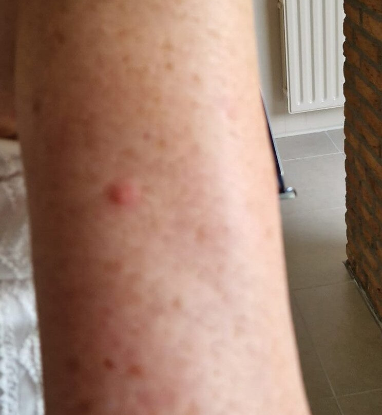 Gast- und Weinhof Beim Schneemann主图