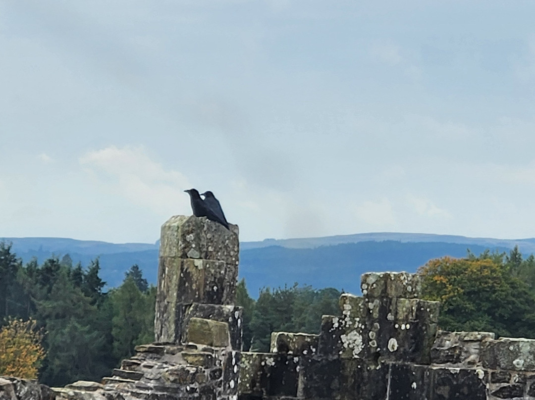 Outlander: The Past Lives Experience景点图片