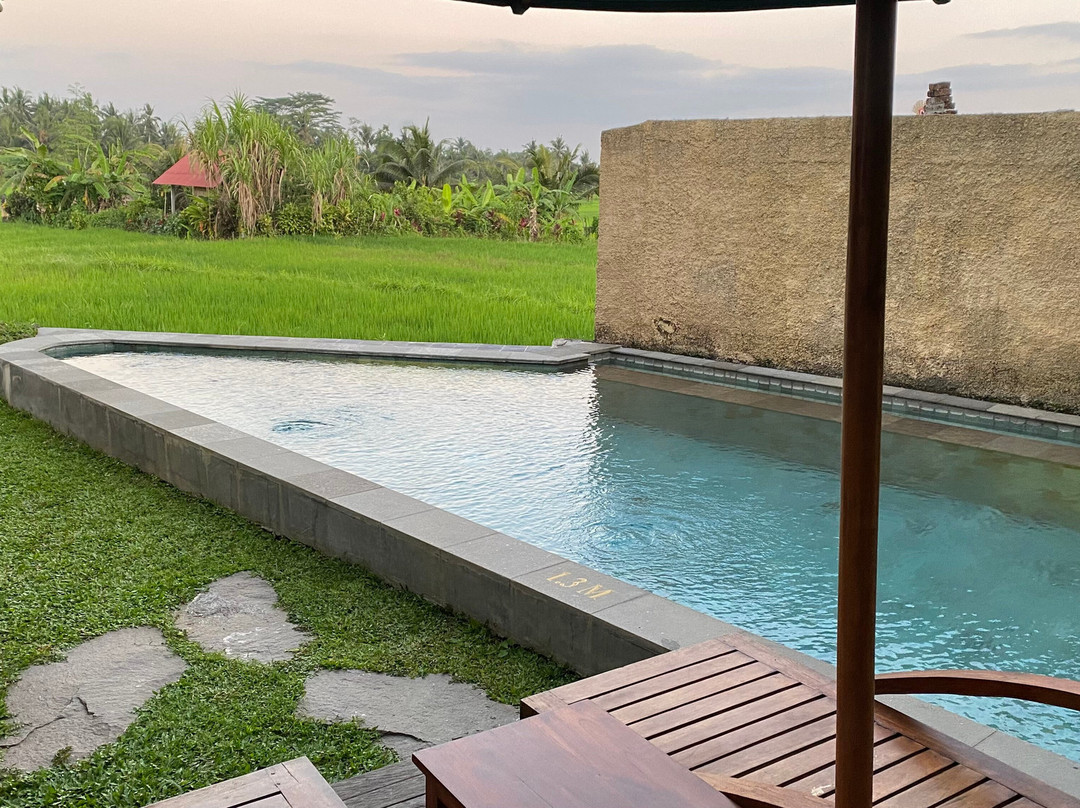 Beehouse Dijiwa Ubud主图