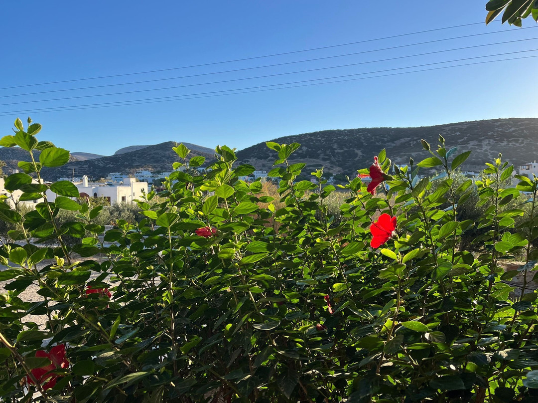 Ventoura Studios & Apartments主图