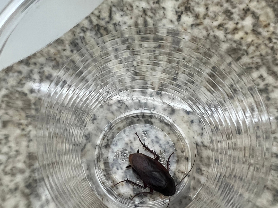 Holiday Inn Express & Suites Hazard By IHG主图