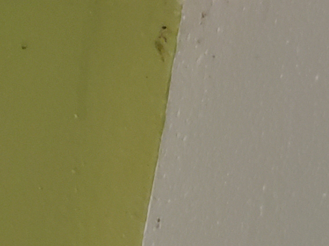 Baymont by Wyndham Florence/Muscle Shoals主图