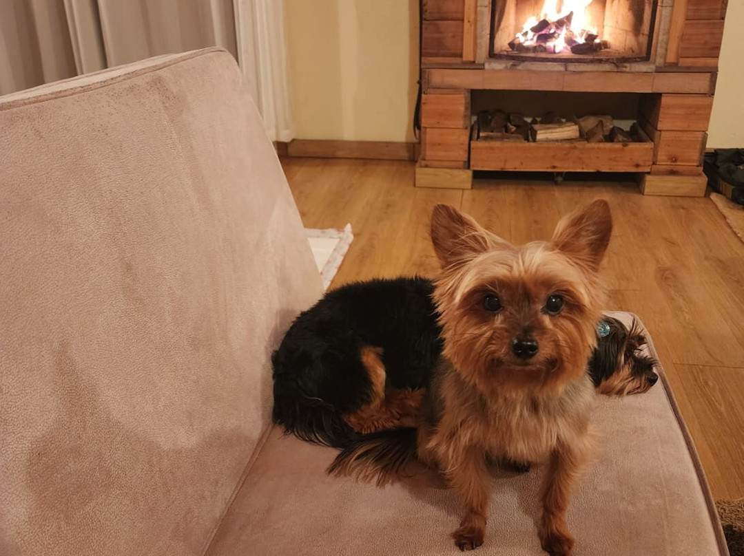 Hotel Fazenda  Itapuá主图