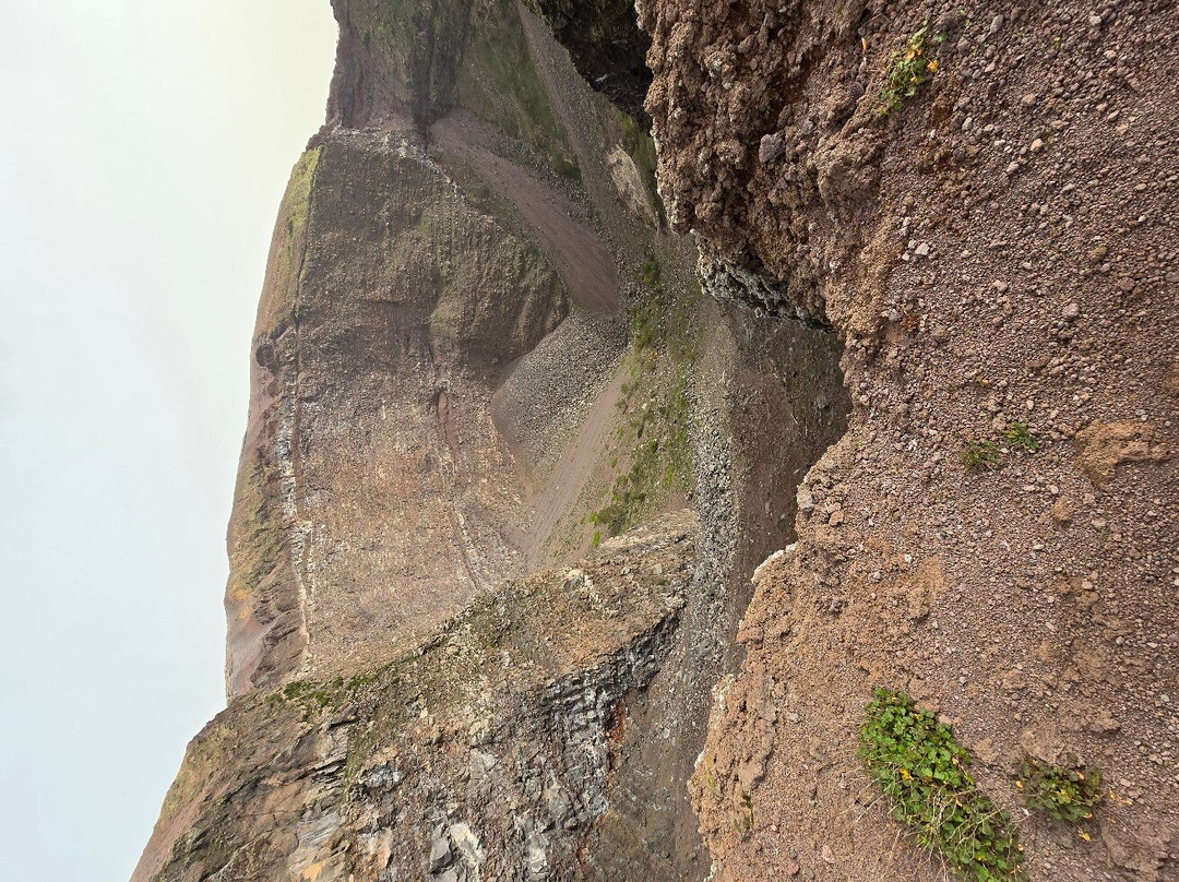 IAMME IA Gray Line-索伦托必去景点