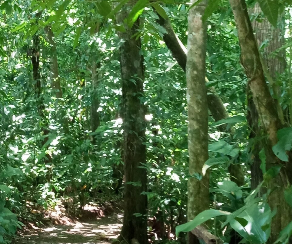 Green Eco Park CR-El Tanque必去景点