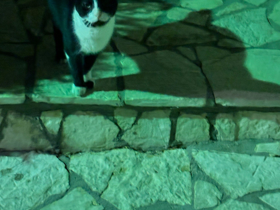 Zefiros Hotel Corfu主图