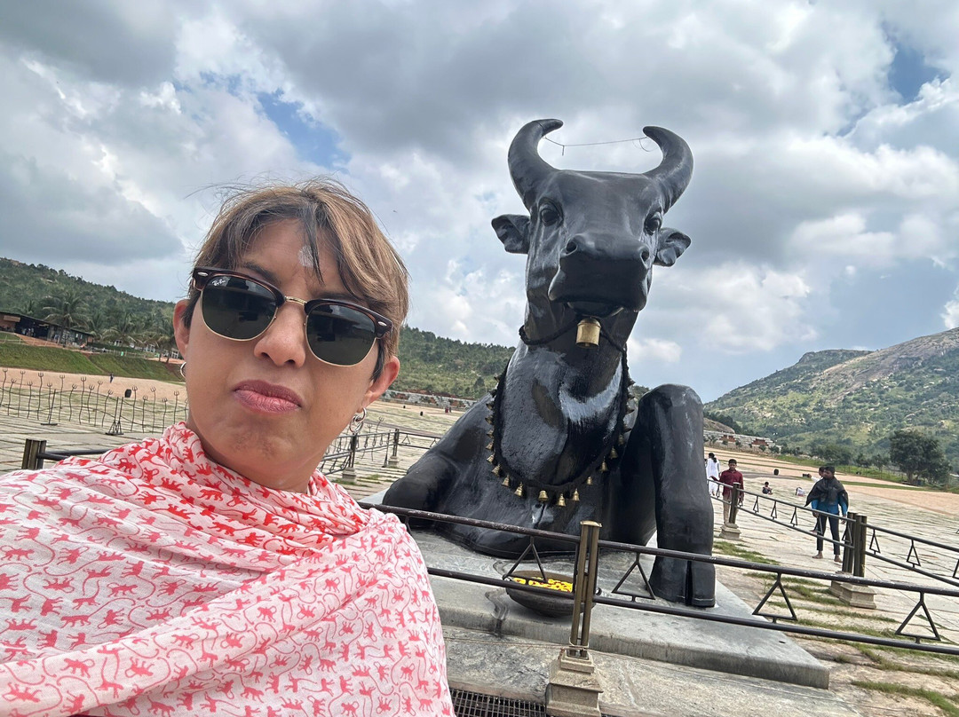 Adiyogi Shiva Statue景点图片