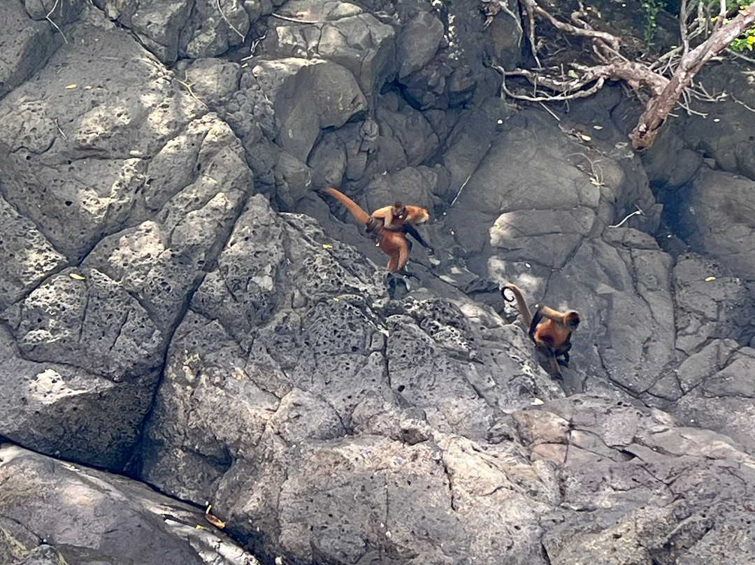 Zuma Tours-圣特雷莎必去景点