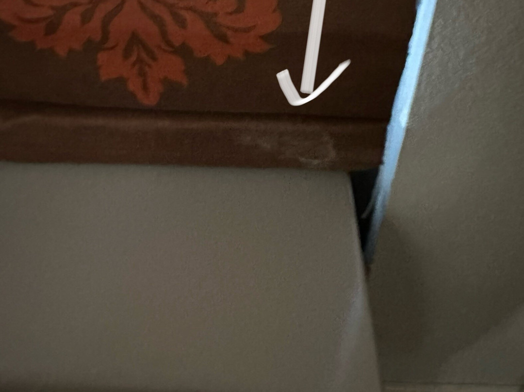 克莱姆森希尔顿恒庭酒店主图