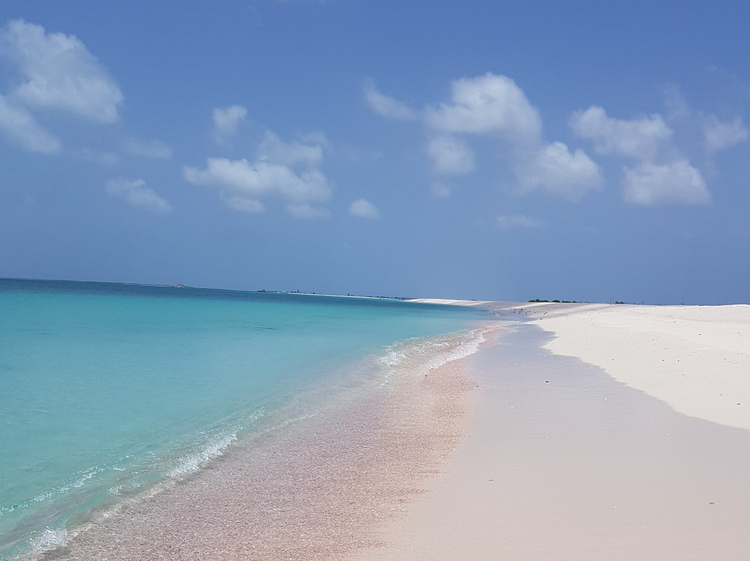 Hillside Tours Barbuda
