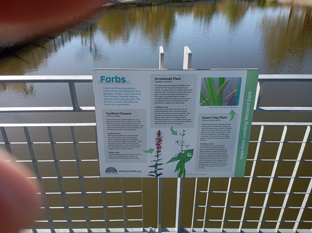 Hyatt Regency Coralville Hotel & Conference Center主图