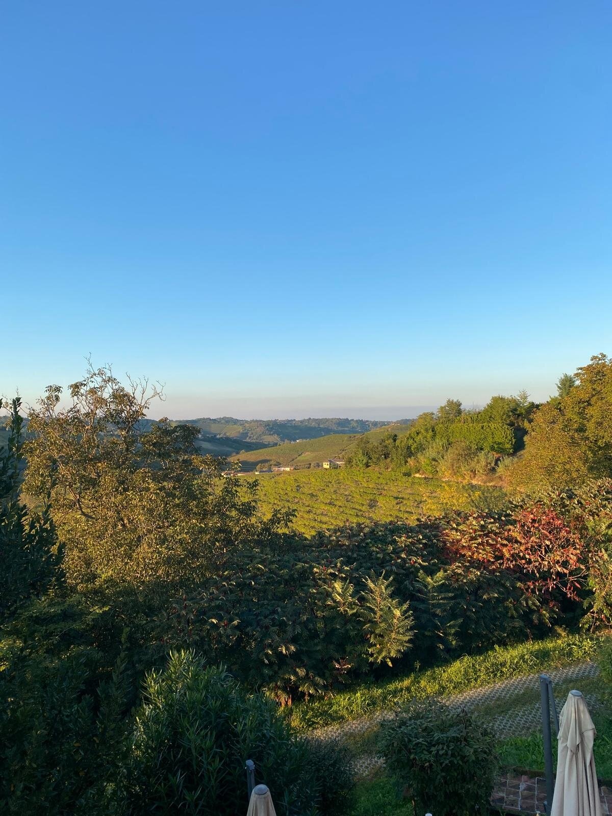 Agriturismo C'era una Volta-官方