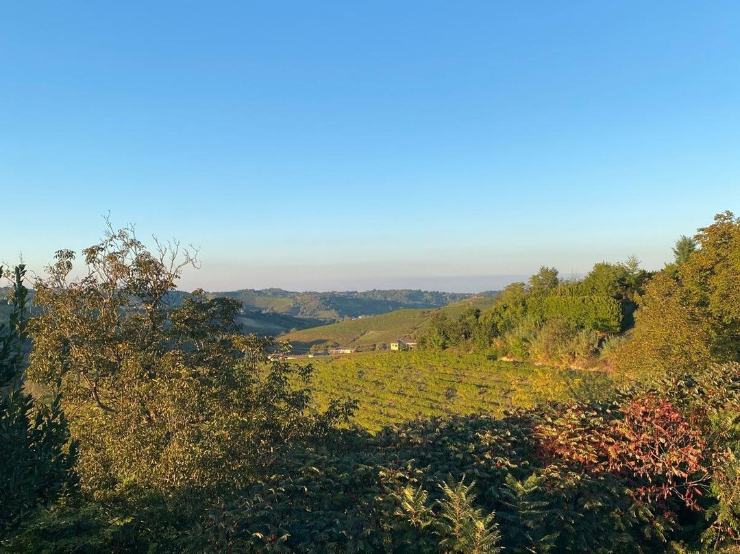 Agriturismo C'era una Volta主图