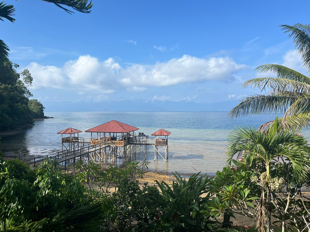 Dolidi Ndano Towale主图