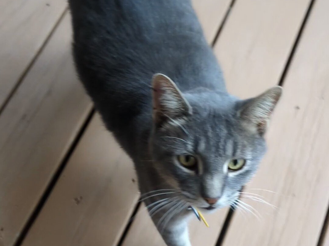 Moondance Ridge Bed & Breakfast主图