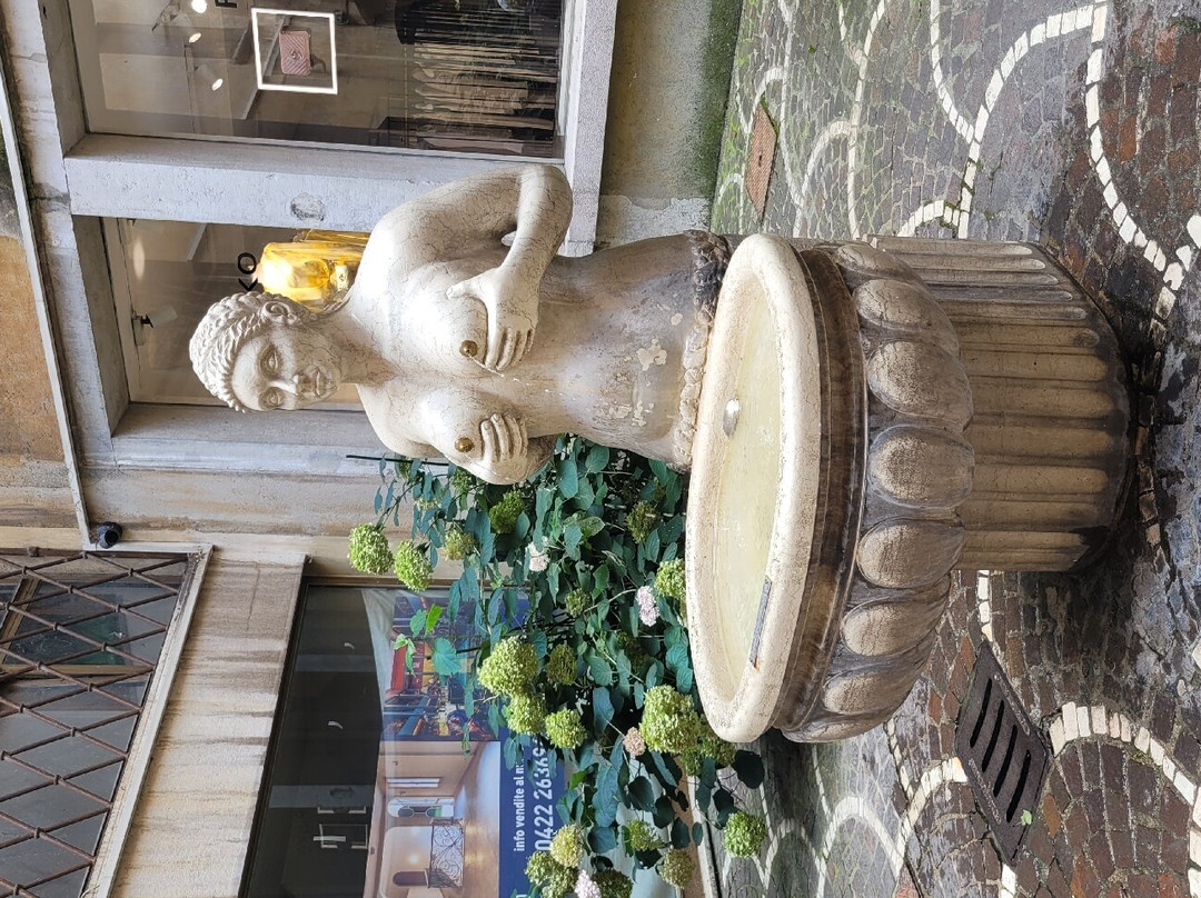 Fontana delle Tette-特雷维索必去景点
