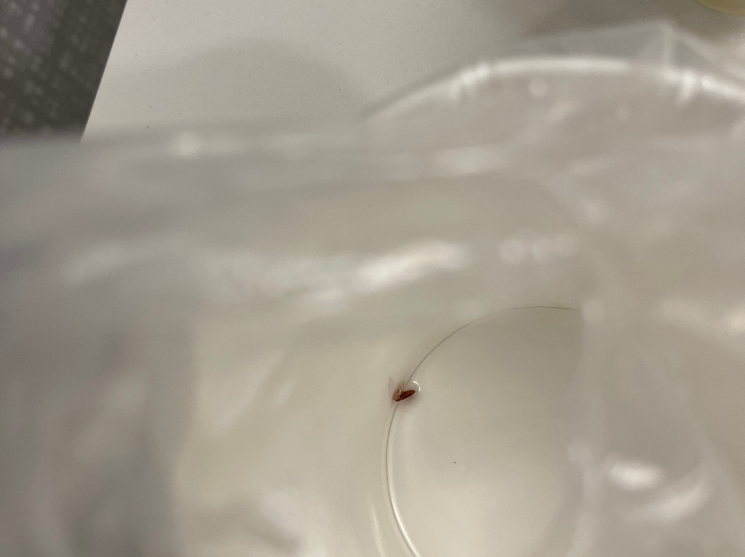 Hampton Inn Atlanta/Fayetteville主图