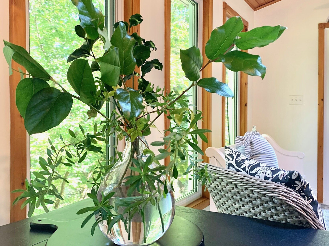 Plantation House Bed and Breakfast主图