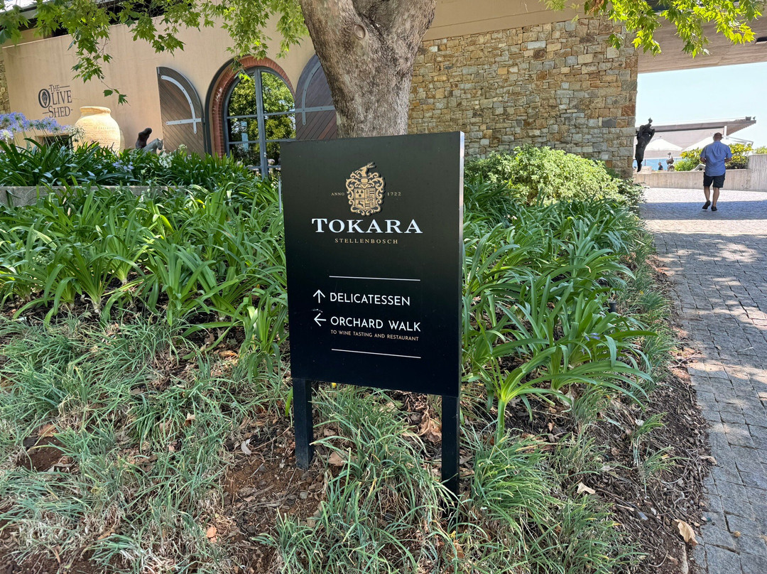 Cape Trio Tours-开普敦中心区必去景点