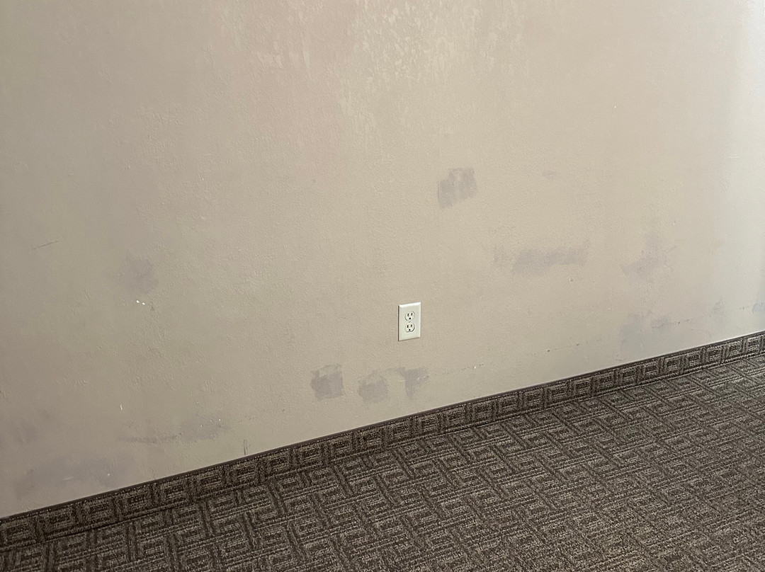 Comfort Inn & Suites Leeds I-20主图