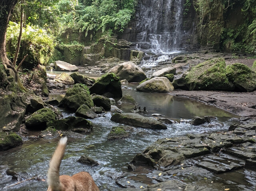 Temesi Waterfall-吉安雅必去景点