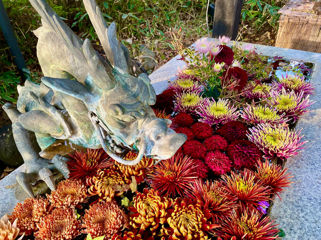 Hana Biyori-稻城市必去景点