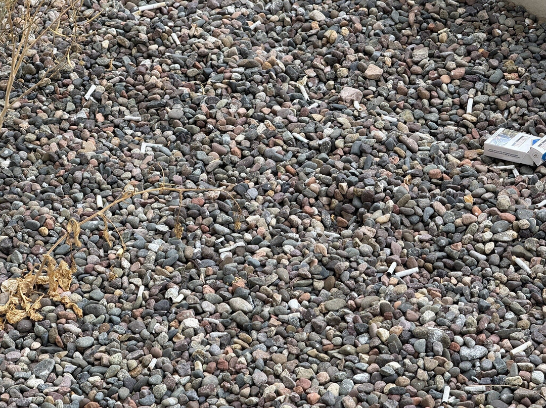 Enjoy Coquimbo Hotel de la Bahia主图