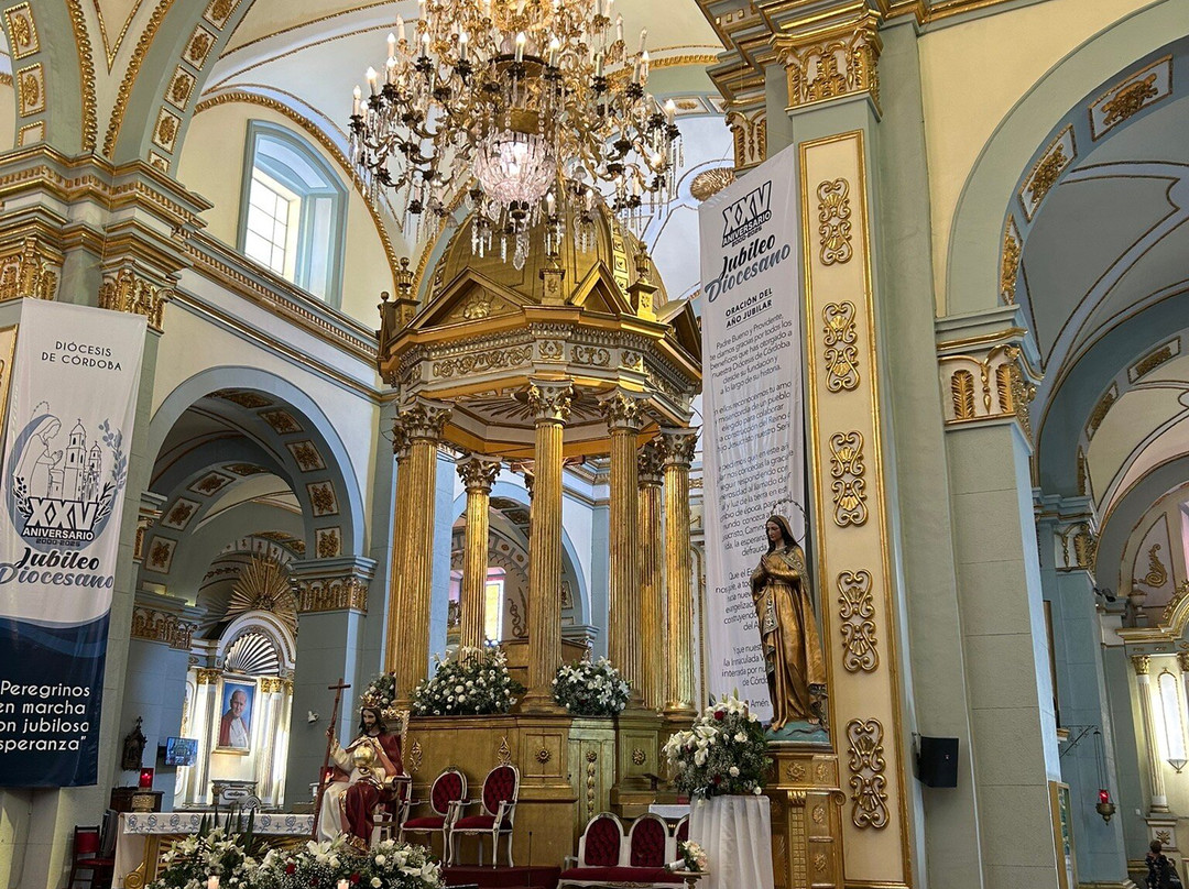 Catedral De La Inmaculada Concepcion景点图片