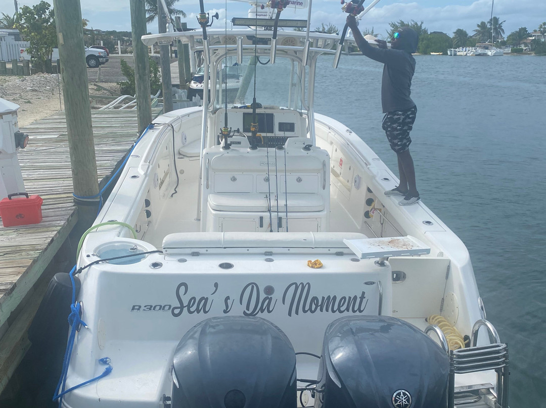 Island Roots-普罗维登西亚莱斯必去景点