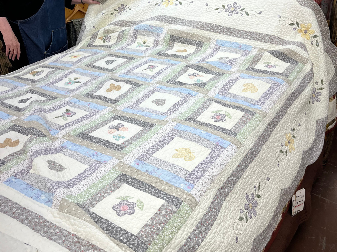 Lidl Dollys Factory Store-皮金福奇必去景点