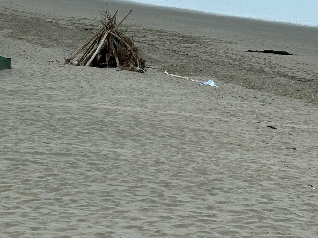 Waikuku Beach景点图片