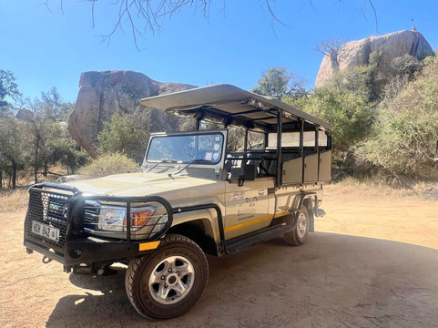 Bushbaby Tours And Transfers