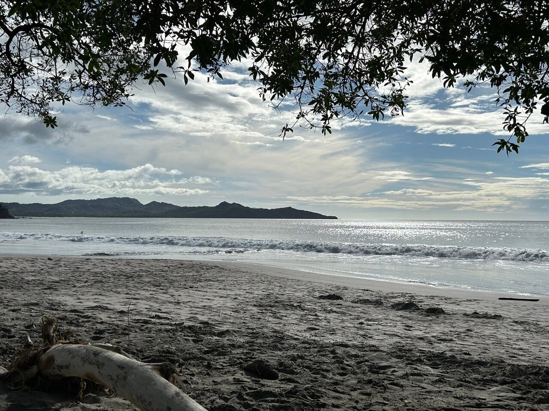 Playa Flamingo景点图片
