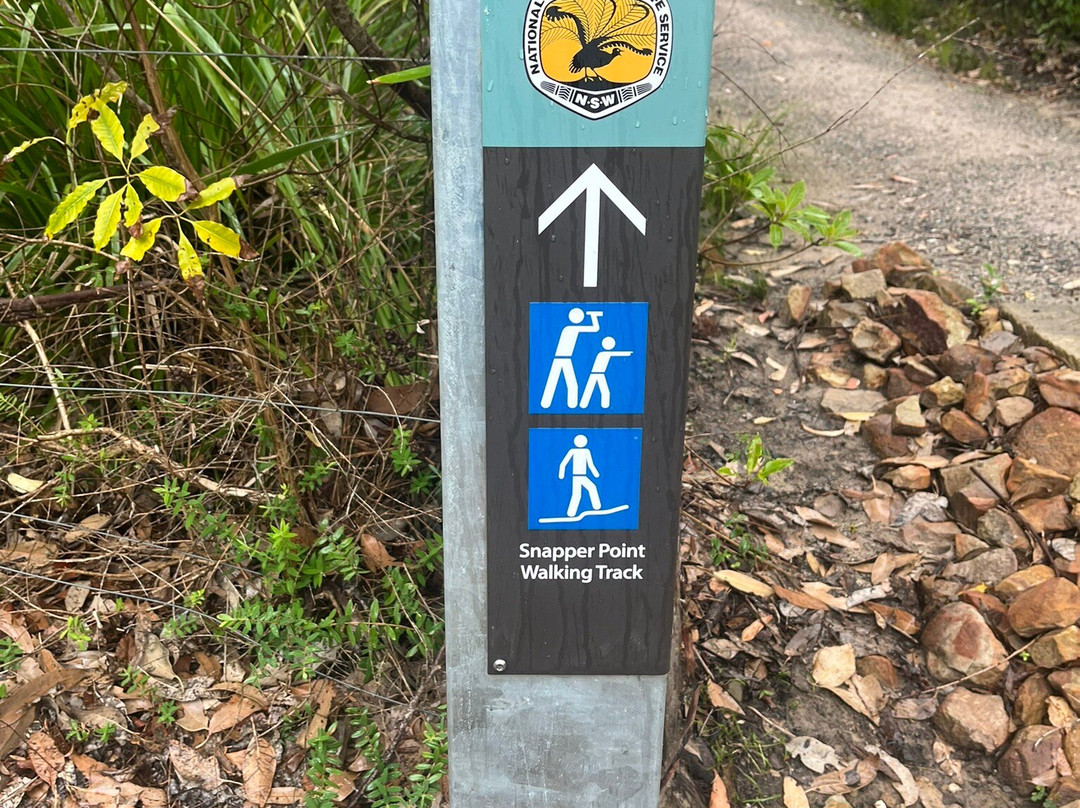 Snapper Point Lookout-Kioloa必去景点