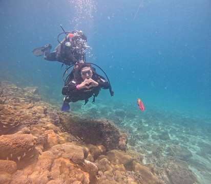 Master Dive Escola de Mergulho-阿拉伊阿尔港必去景点