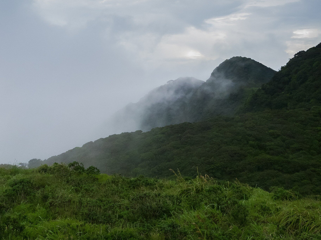 Knuckles Nature Tours景点图片