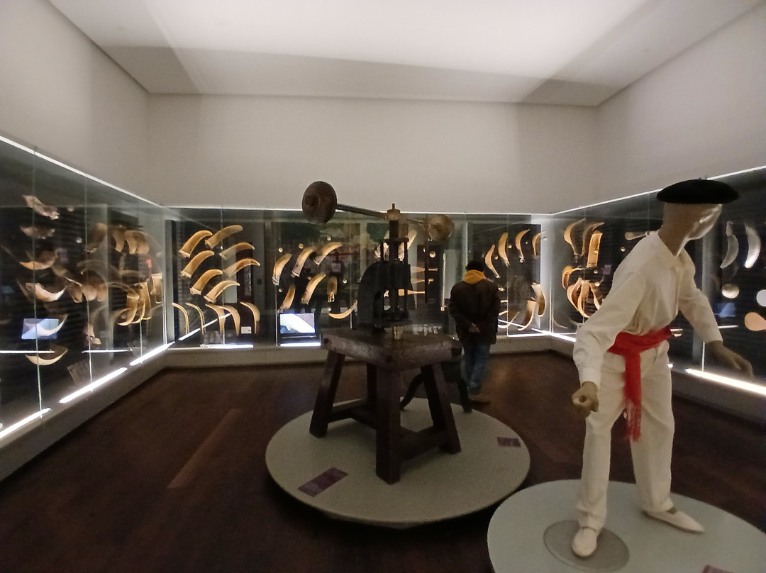 Musée Basque Et De L'histoire De Bayonne景点图片