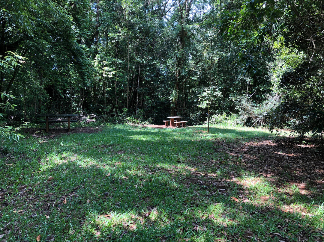 Ellinjaa Falls-Millaa Millaa必去景点