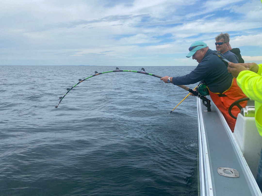 Pinwheel Tuna Fishing景点图片