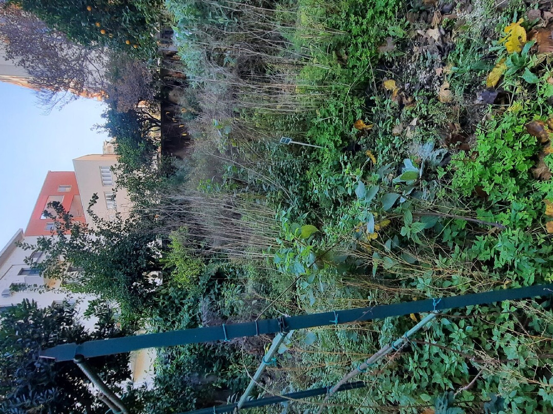Orto Botanico dell'Università di Catania景点图片