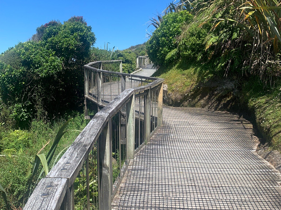 Tauranga Bay Seal Colony-韦斯特波特必去景点