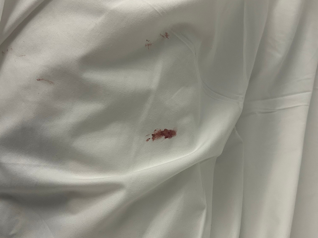 Country 2 Coast Motor Inn Coffs Harbour主图