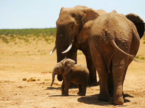 Afrivine Tours and Travels-Eldoret必去景点