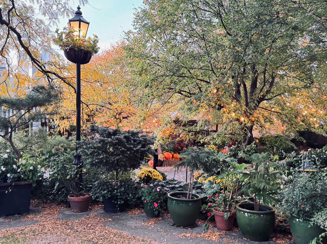 Echt New York-纽约市必去景点