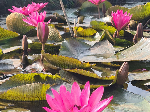 Cat Ba freedom-卡巴必去景点