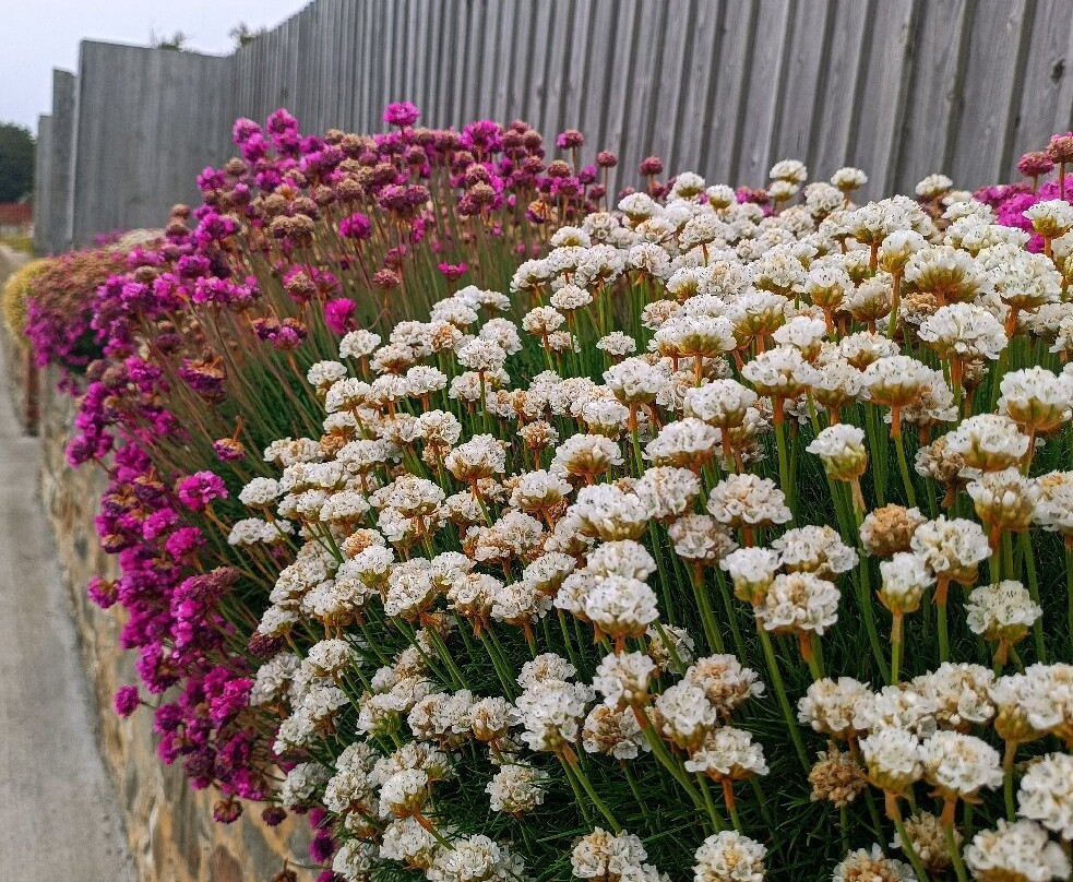 1982 Liberation Memorial-Stanley必去景点