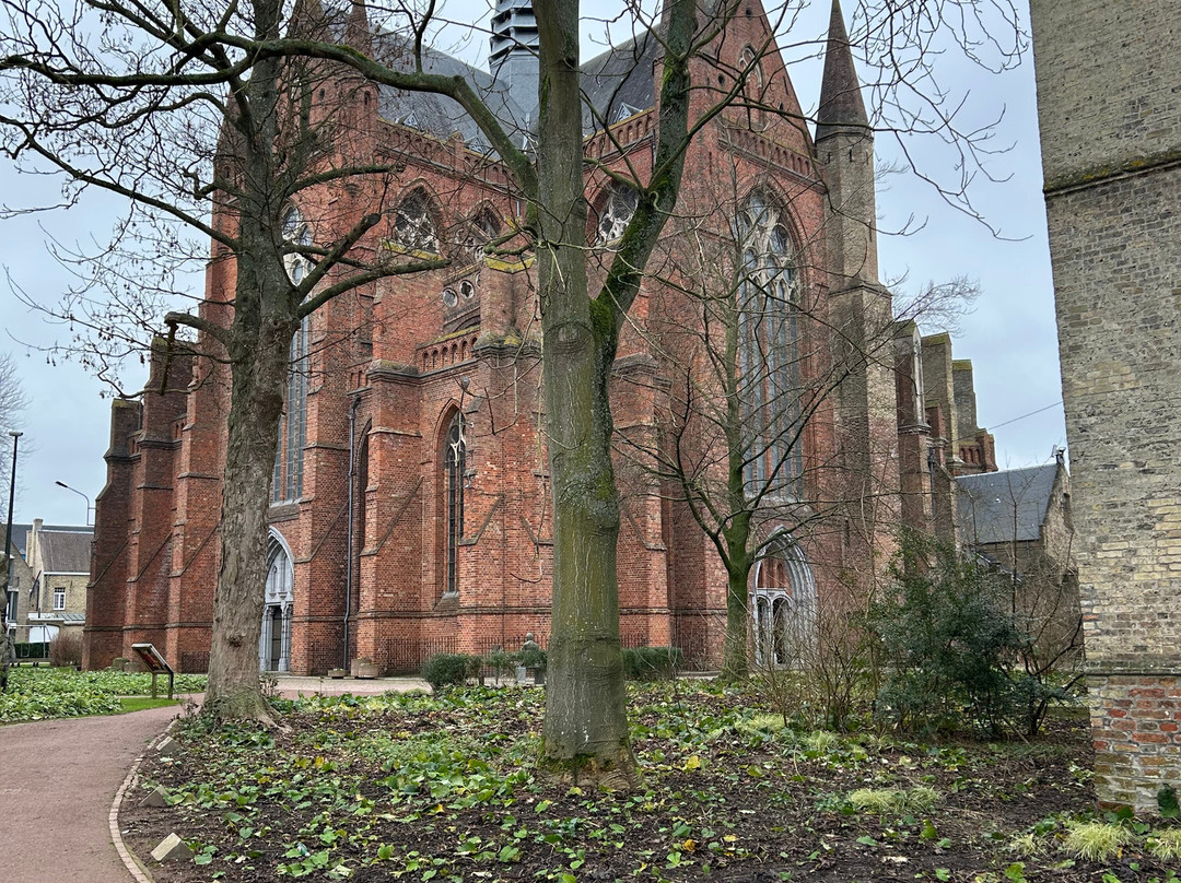 Sint Walburga Church景点图片