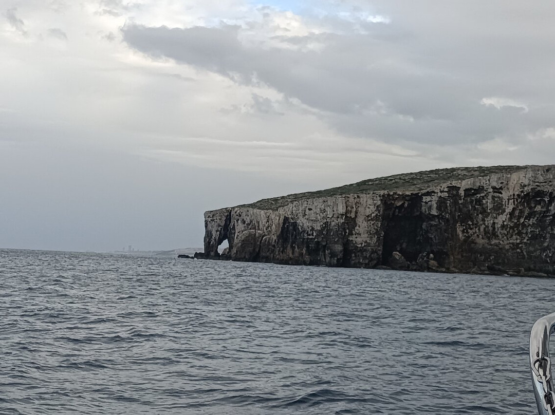 Elephant Head Rock